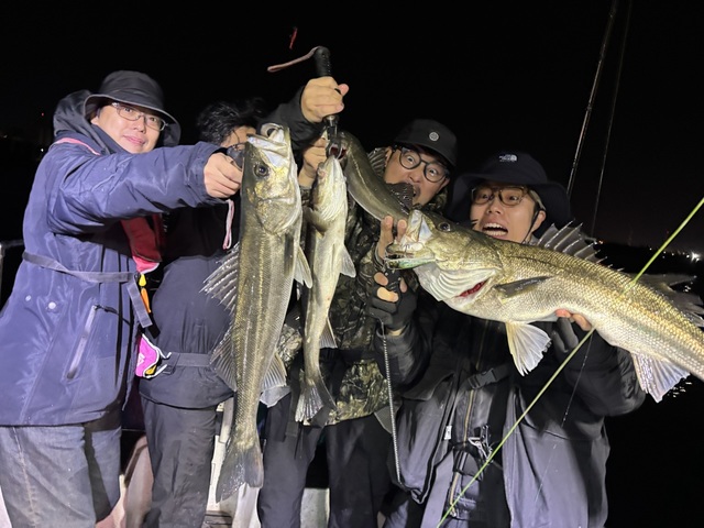 シーバス(スズキ)