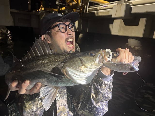 シーバス(スズキ)