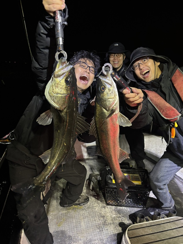 シーバス(スズキ)