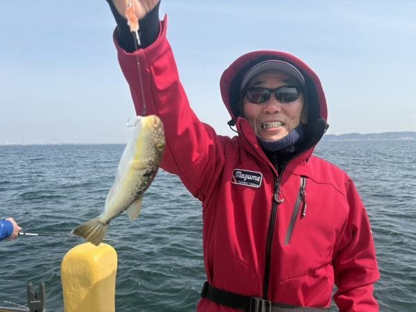 ショウサイフグ