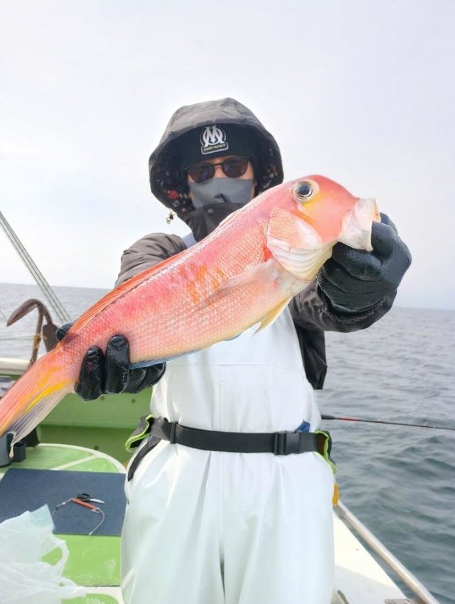 アマダイ(アカアマダイ)