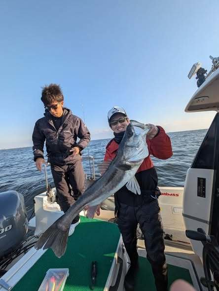 シーバス(スズキ)