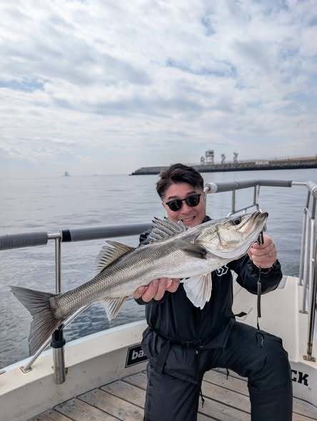 シーバス(スズキ)