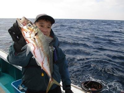 ヒラアジ(マアジ)