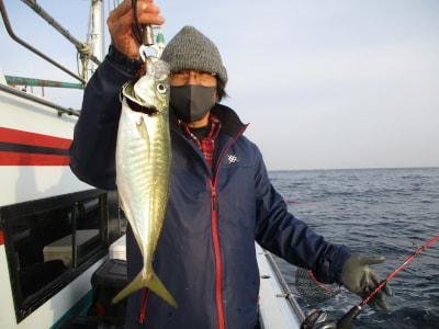 ヒラアジ(マアジ)