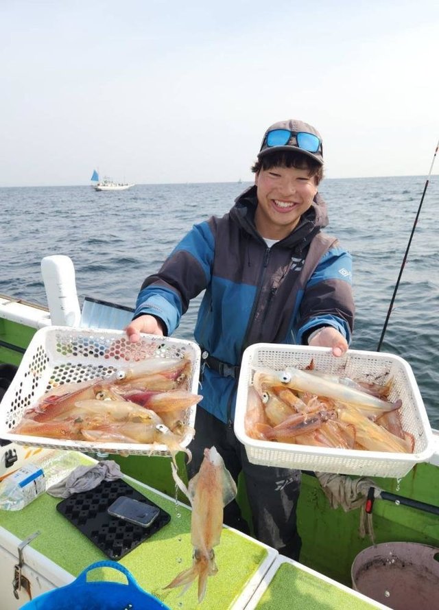 マルイカ(ケンサキイカ)