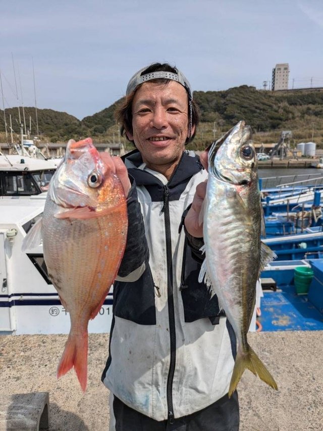 ハナダイ(チダイ)・アジ(マアジ)