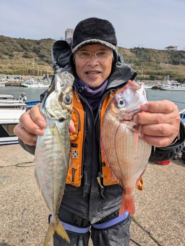 ハナダイ(チダイ)・アジ(マアジ)