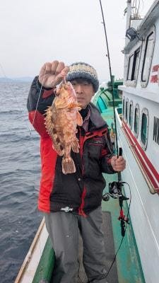 メッコ(アヤメカサゴ)