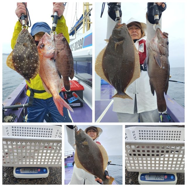 マハタ・ヒラメ