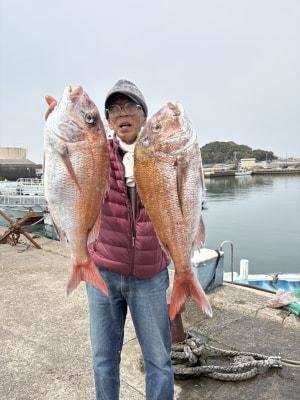 マダイ