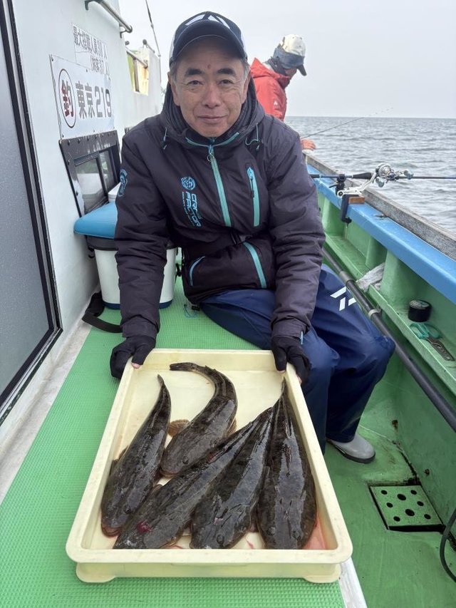 マゴチ