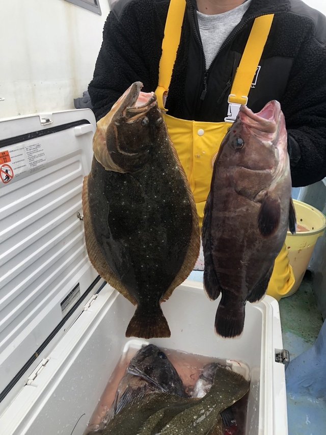 マハタ・ヒラメ