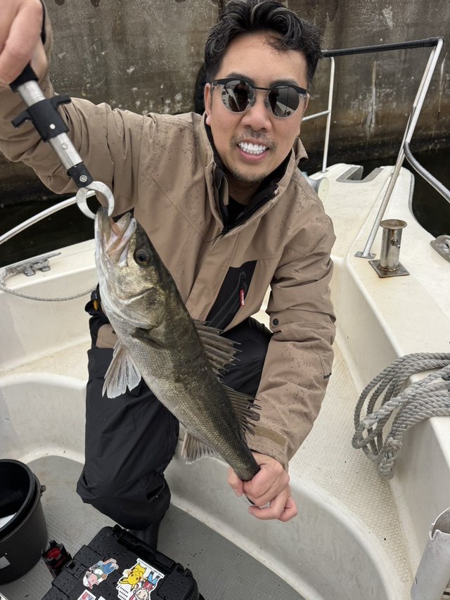 シーバス(スズキ)