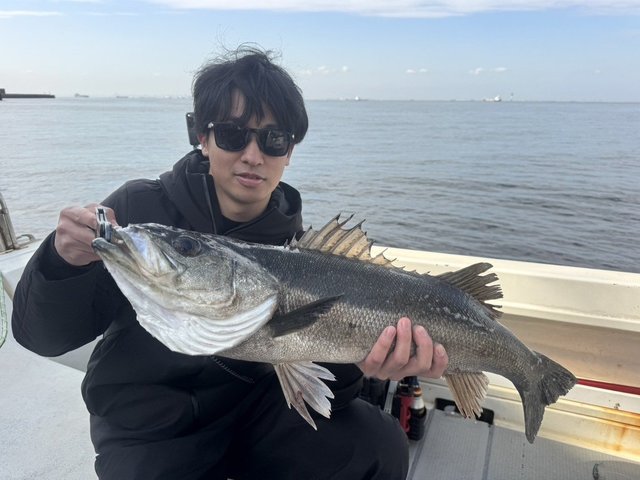 シーバス(スズキ)