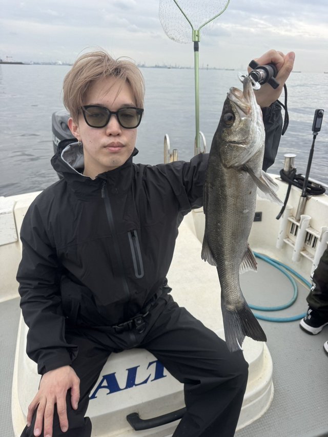 シーバス(スズキ)