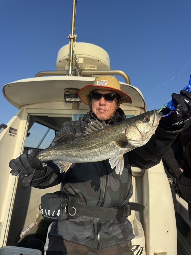 シーバス(スズキ)