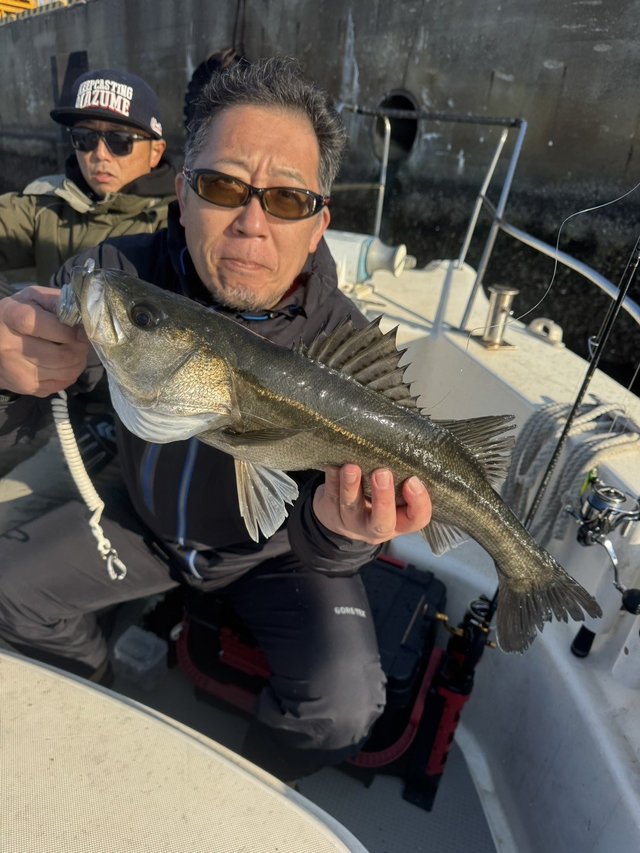 シーバス(スズキ)