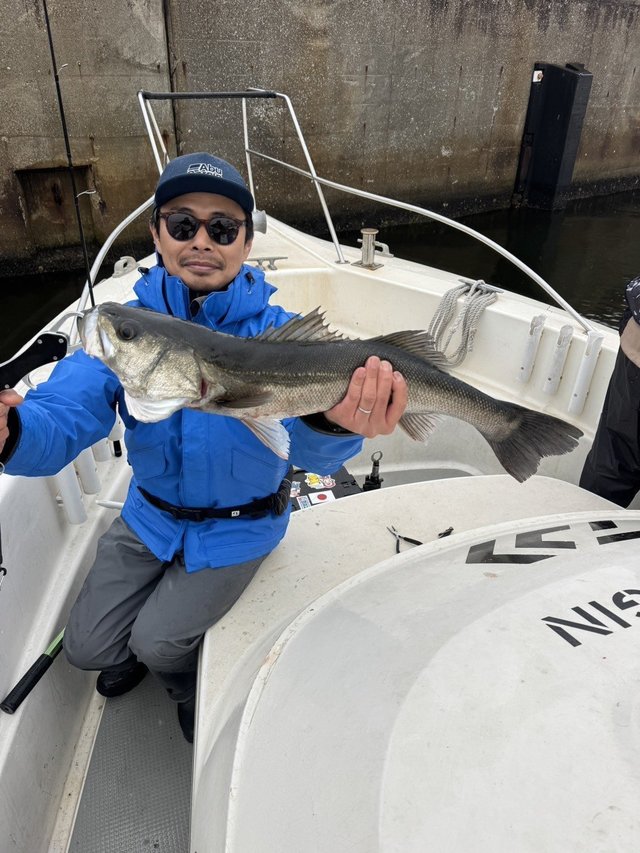 シーバス(スズキ)