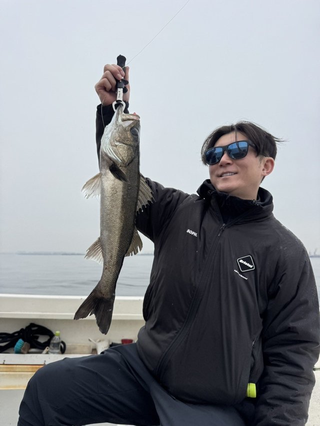 シーバス(スズキ)