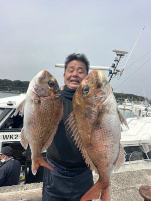マダイ