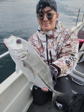 メッキ(ロウニンアジ)