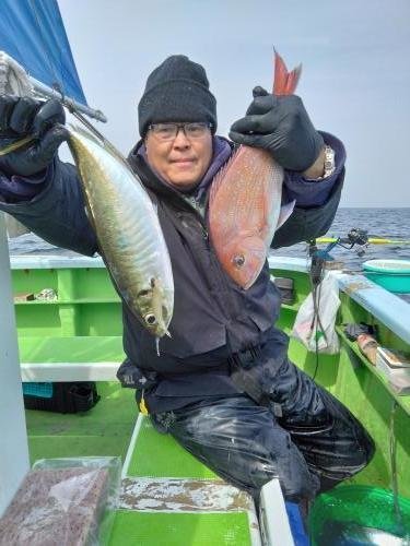 マダイ・アジ(マアジ)