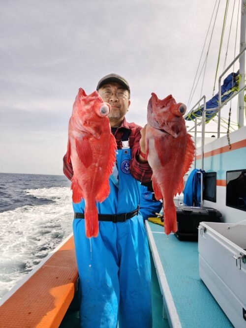 メヌケ(アコウダイ)