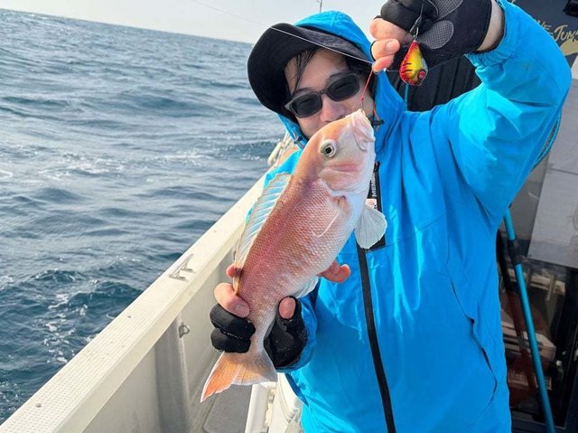 アマダイ(アカアマダイ)