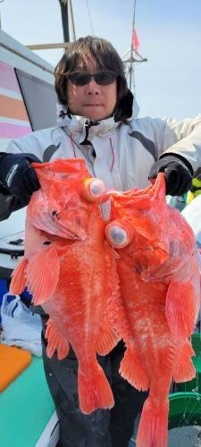 メヌケ(アコウダイ)