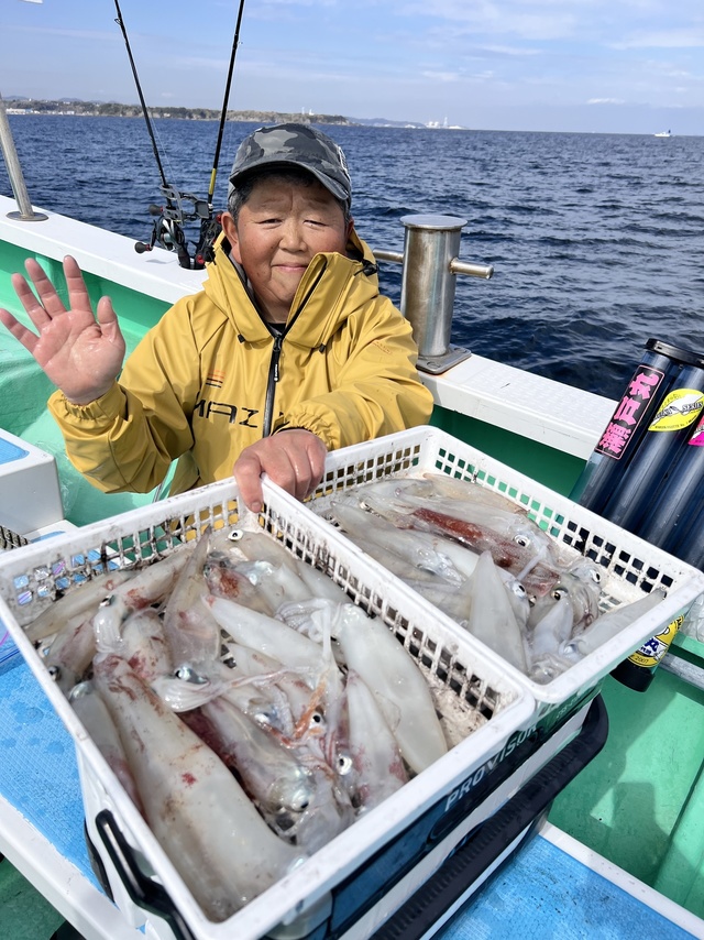 マルイカ(ケンサキイカ)