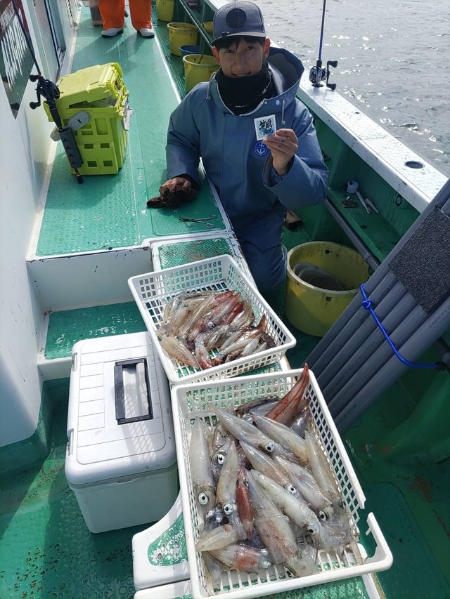 マルイカ(ケンサキイカ)