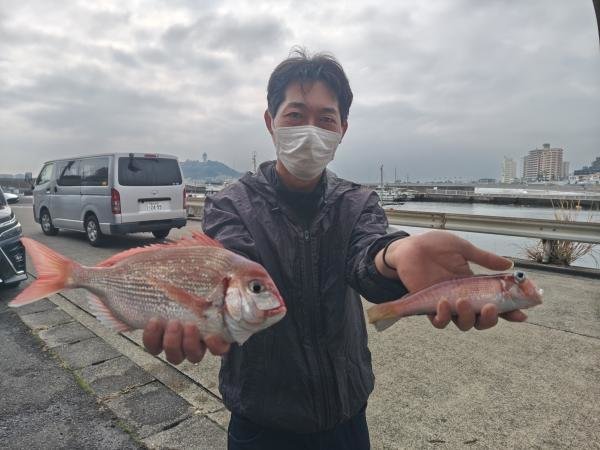 ハナダイ(チダイ)・アマダイ(アカアマダイ)