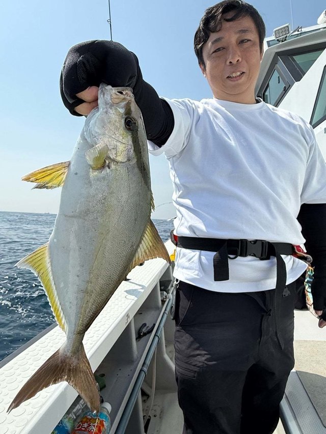 ショゴ(カンパチ)