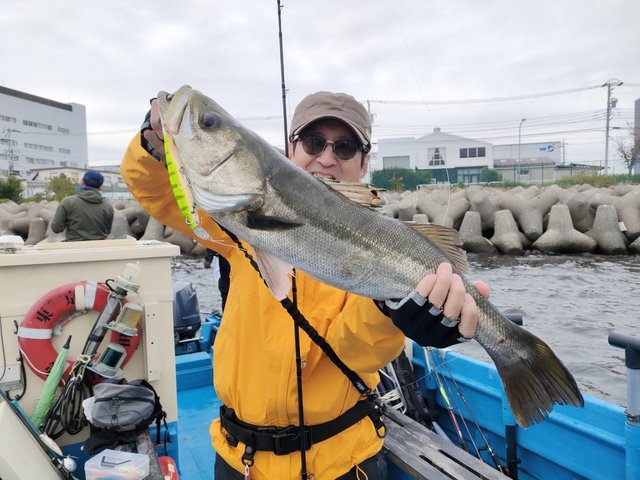 シーバス(スズキ)