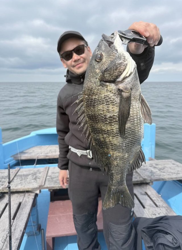 チヌ(クロダイ)