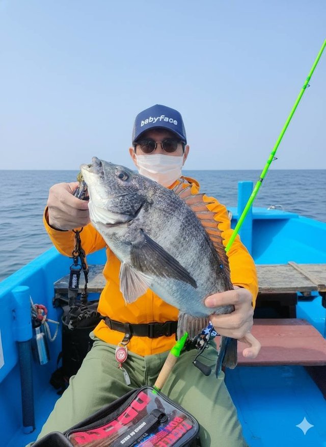 チヌ(クロダイ)