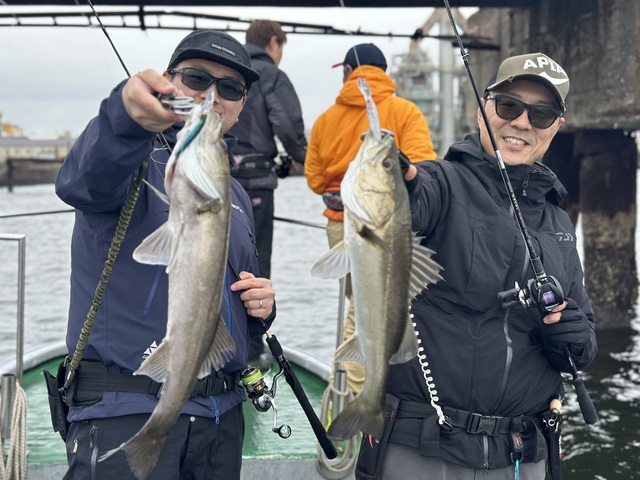 シーバス(スズキ)