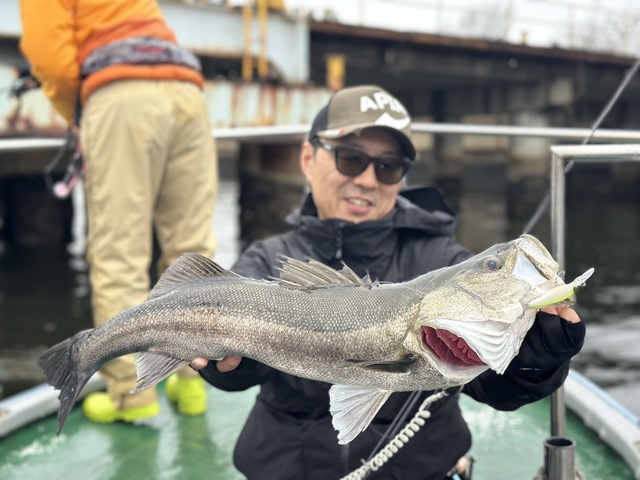 シーバス(スズキ)