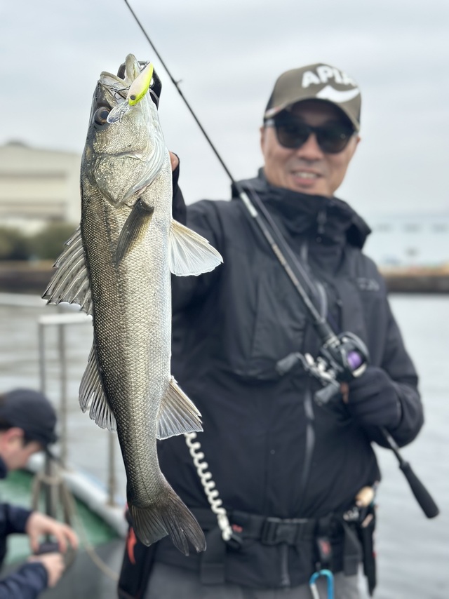 シーバス(スズキ)