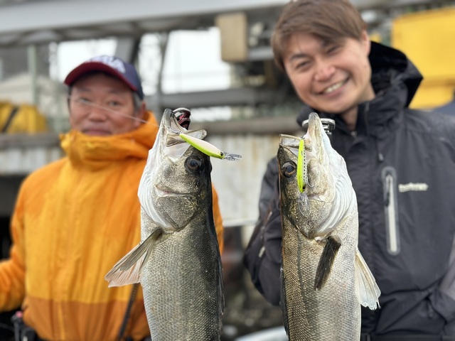 シーバス(スズキ)