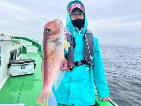 アマダイ(アカアマダイ)