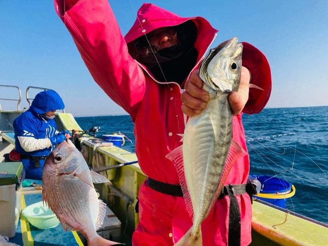 ハナダイ(チダイ)・アジ(マアジ)