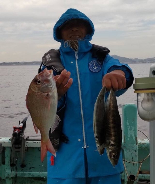 マダイ・アジ(マアジ)