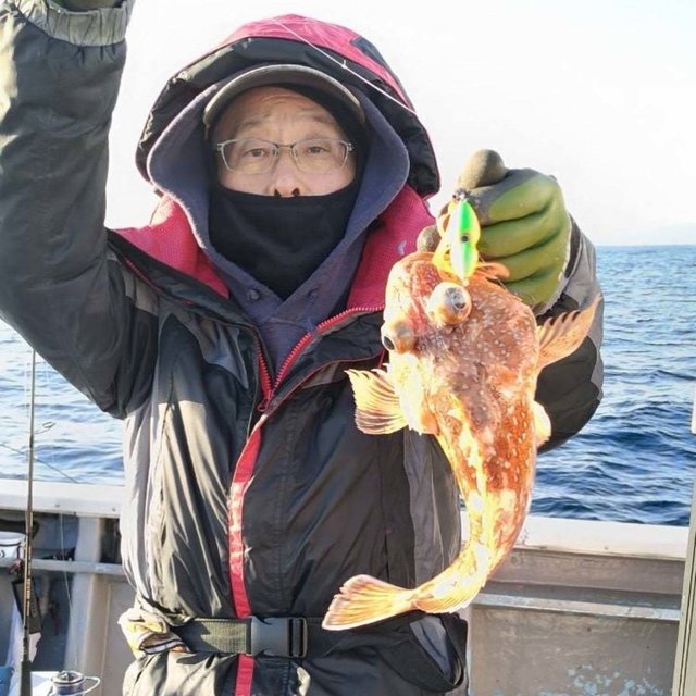 ウッカリカサゴ