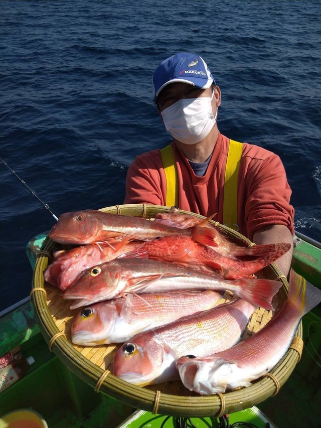 アマダイ(アカアマダイ)・ホウボウ