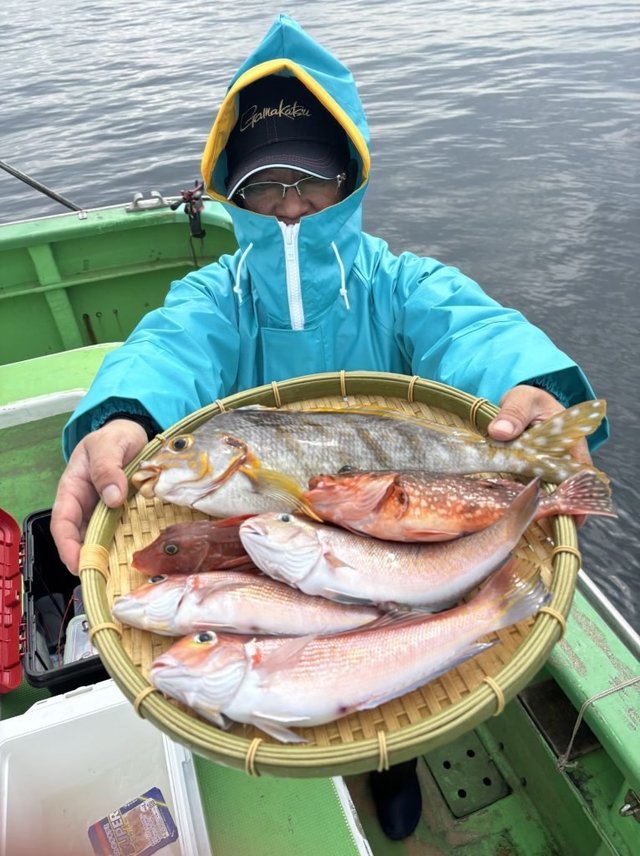 アマダイ(アカアマダイ)