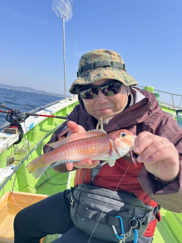 アマダイ(アカアマダイ)