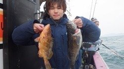 キジハタ・クロソイ