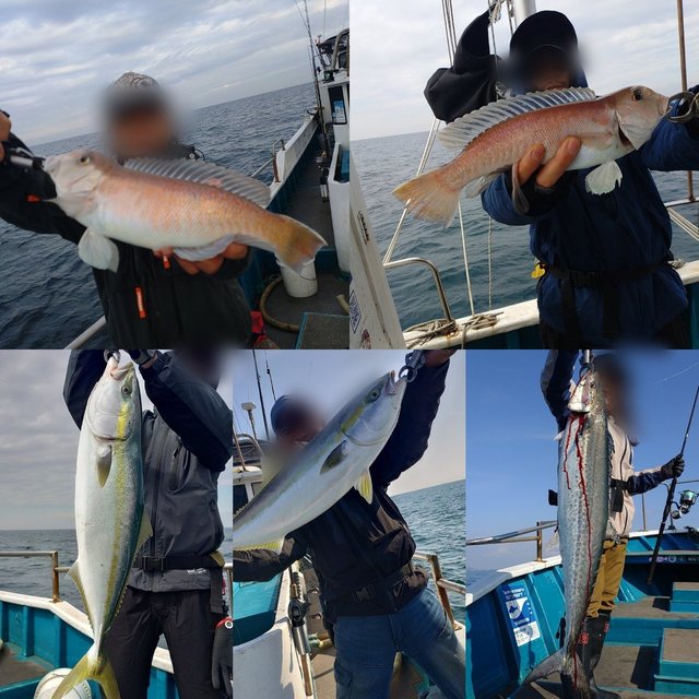 ブリ・メジロ(ブリ)・サワラ